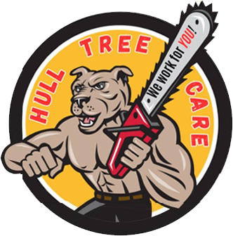 Hull Tree Care